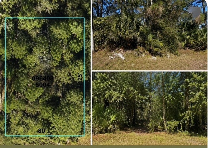 Stockton Ave (Lot #7), North Port, FL 34286 — photo 1